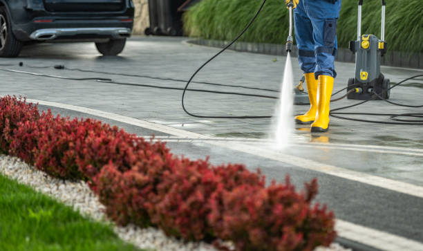 Best Fence Pressure Washing  in USA